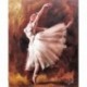 MARY Jan saut danse classique