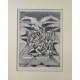 AIGLE CONTRE HOMMES - VILLON Jacques (1875-1963) - Lithographie