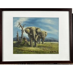 LES ELEPHANTS